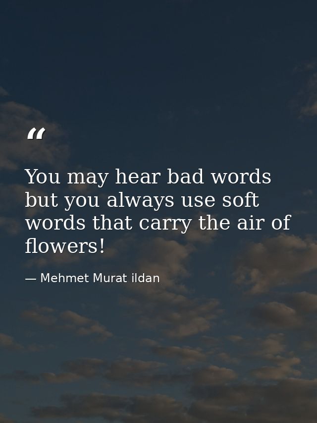 You may hear bad words but you always use soft words that carry the air of flowers! — Mehmet Murat ildan