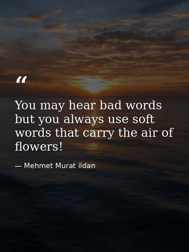 You may hear bad words but you always use soft words that carry the air of flowers! — Mehmet Murat ildan
