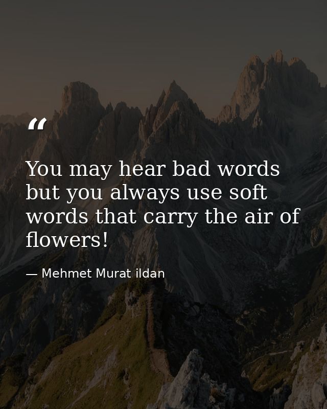 You may hear bad words but you always use soft words that carry the air of flowers! — Mehmet Murat ildan