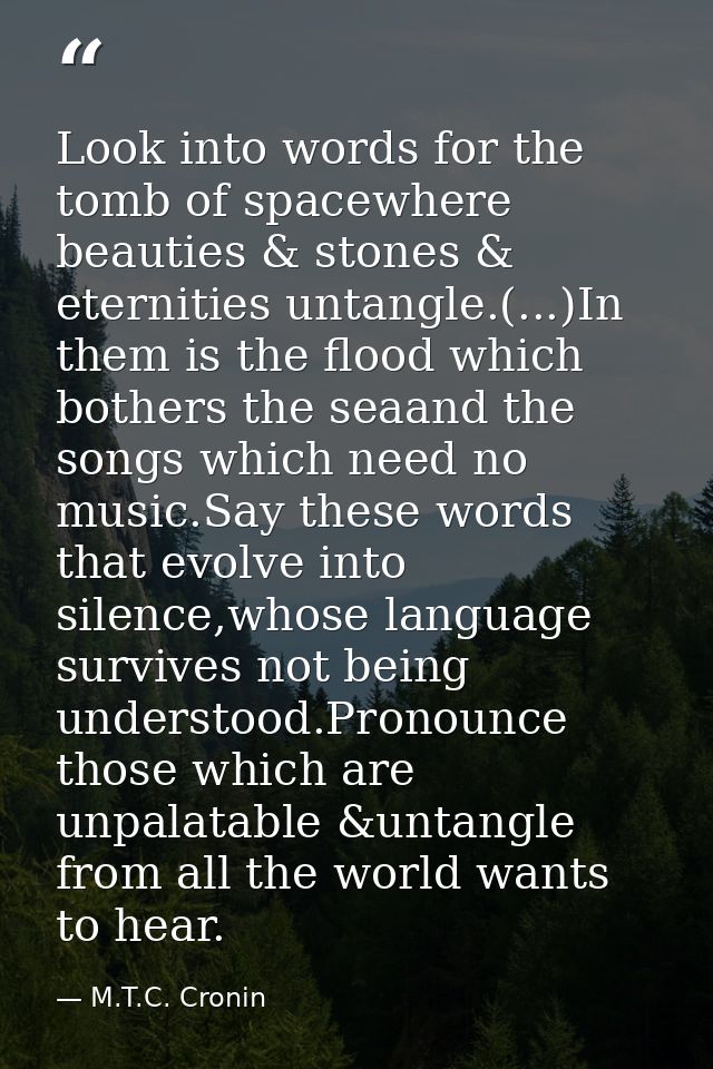 Look into words for the tomb of spacewhere beauties & stones & eternities untangle.(...)In them is the flood which bothe — M.T.C. Cronin