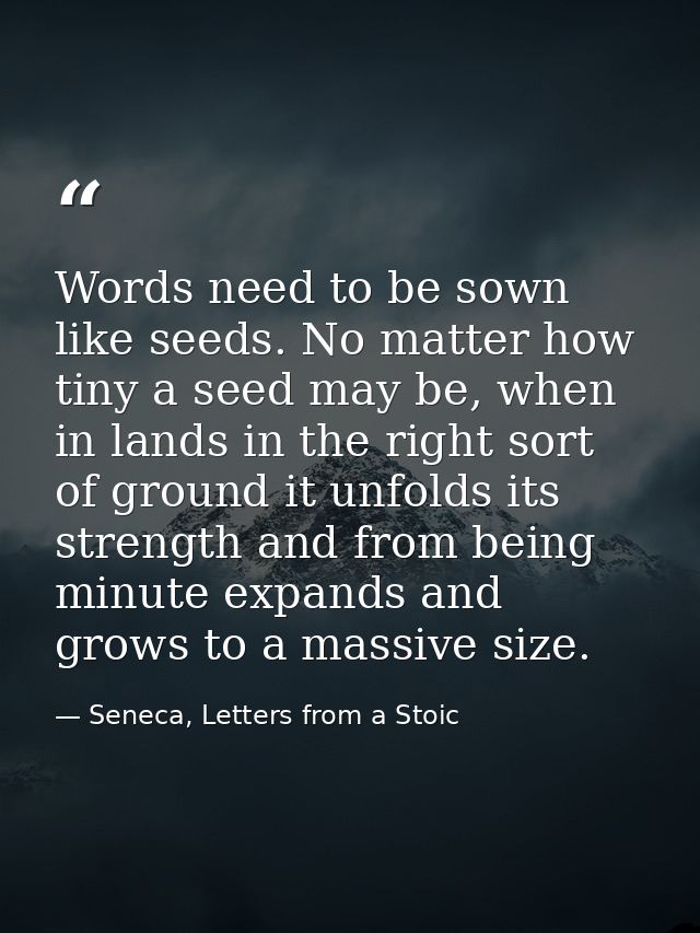 Words need to be sown like seeds. No matter how tiny a seed may be, when in lands in the right sort of ground it unfolds — Seneca, Letters from a Stoic