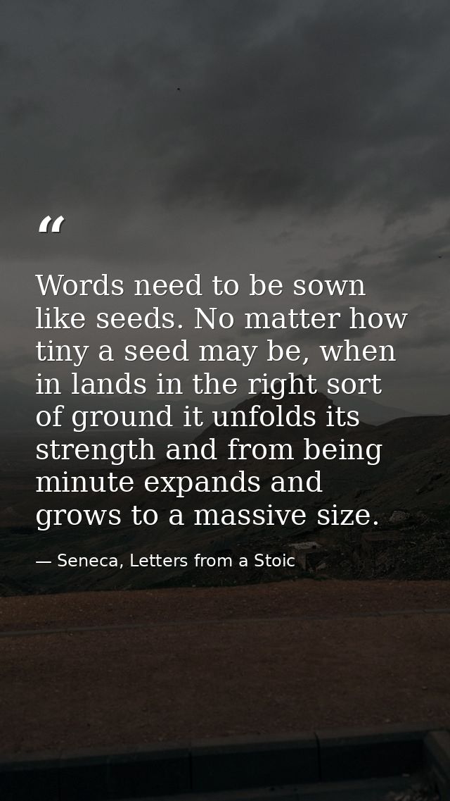 Words need to be sown like seeds. No matter how tiny a seed may be, when in lands in the right sort of ground it unfolds — Seneca, Letters from a Stoic