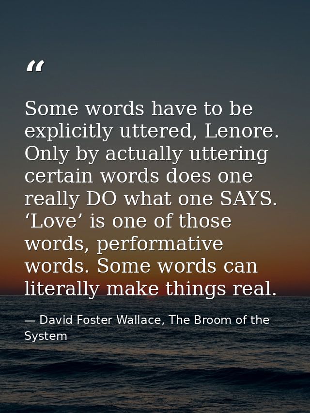 Some words have to be explicitly uttered, Lenore. Only by actually uttering certain words does one really DO what one SA — David Foster Wallace, The Broom of the System
