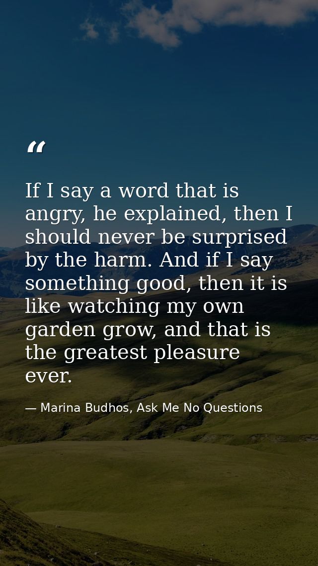 If I say a word that is angry, he explained, then I should never be surprised by the harm. And if I say something good,  — Marina Budhos, Ask Me No Questions