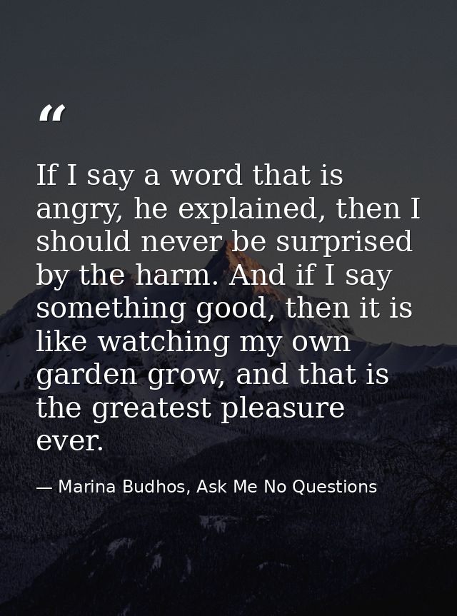 If I say a word that is angry, he explained, then I should never be surprised by the harm. And if I say something good,  — Marina Budhos, Ask Me No Questions