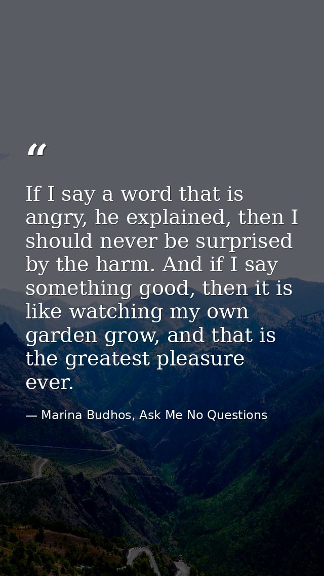 If I say a word that is angry, he explained, then I should never be surprised by the harm. And if I say something good,  — Marina Budhos, Ask Me No Questions