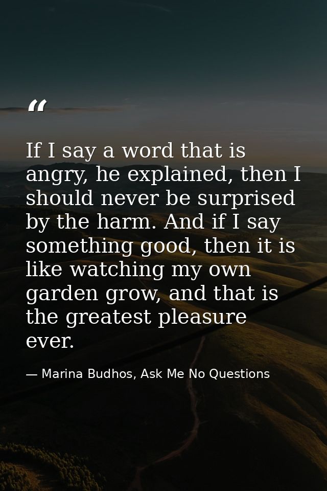 If I say a word that is angry, he explained, then I should never be surprised by the harm. And if I say something good,  — Marina Budhos, Ask Me No Questions