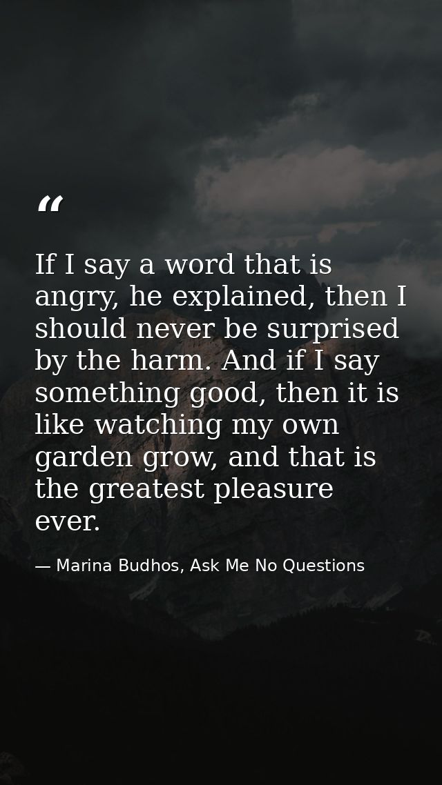 If I say a word that is angry, he explained, then I should never be surprised by the harm. And if I say something good,  — Marina Budhos, Ask Me No Questions