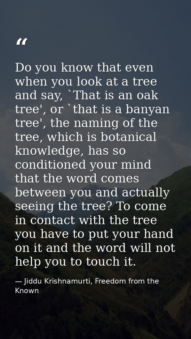Do you know that even when you look at a tree and say, `That is an oak tree', or `that is a banyan tree', the naming of  — Jiddu Krishnamurti, Freedom from the Known