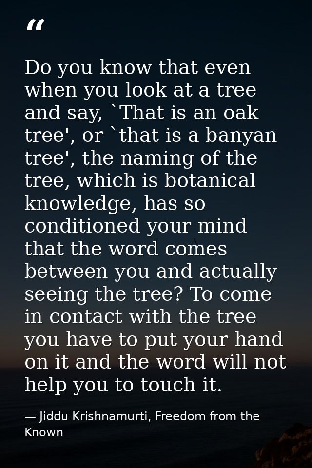 Do you know that even when you look at a tree and say, `That is an oak tree', or `that is a banyan tree', the naming of  — Jiddu Krishnamurti, Freedom from the Known