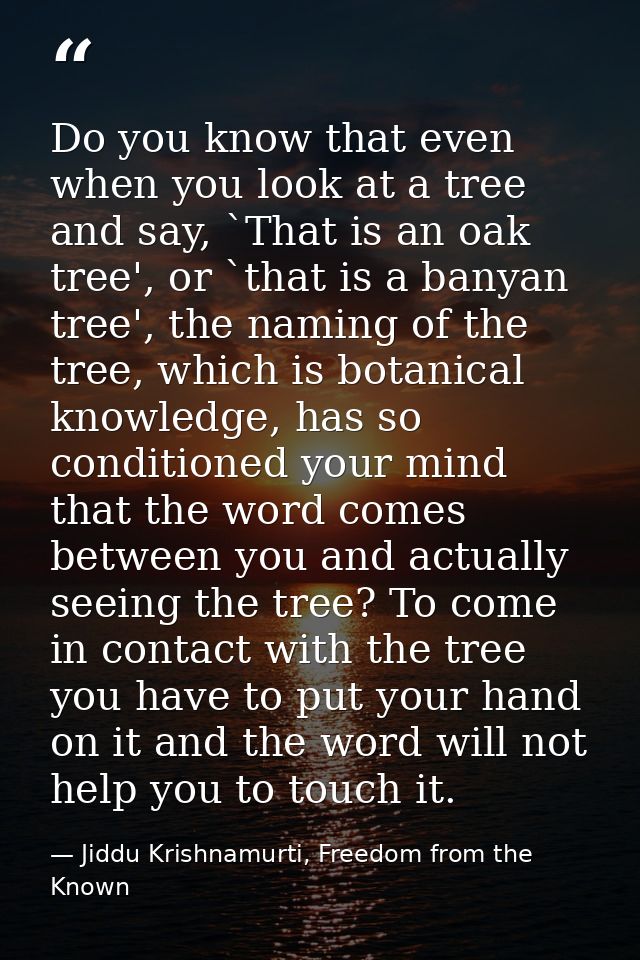 Do you know that even when you look at a tree and say, `That is an oak tree', or `that is a banyan tree', the naming of  — Jiddu Krishnamurti, Freedom from the Known