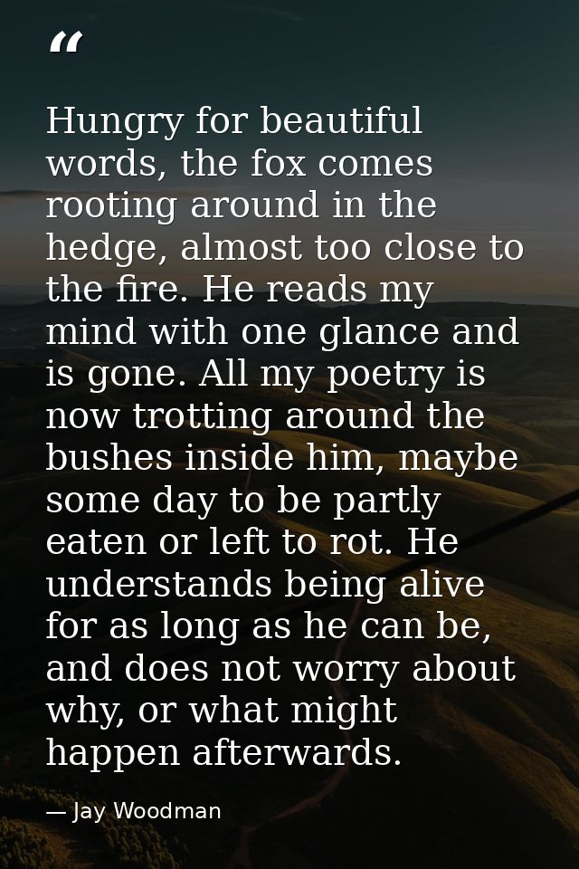 Hungry for beautiful words, the fox comes rooting around in the hedge, almost too close to the fire. He reads my mind wi — Jay Woodman