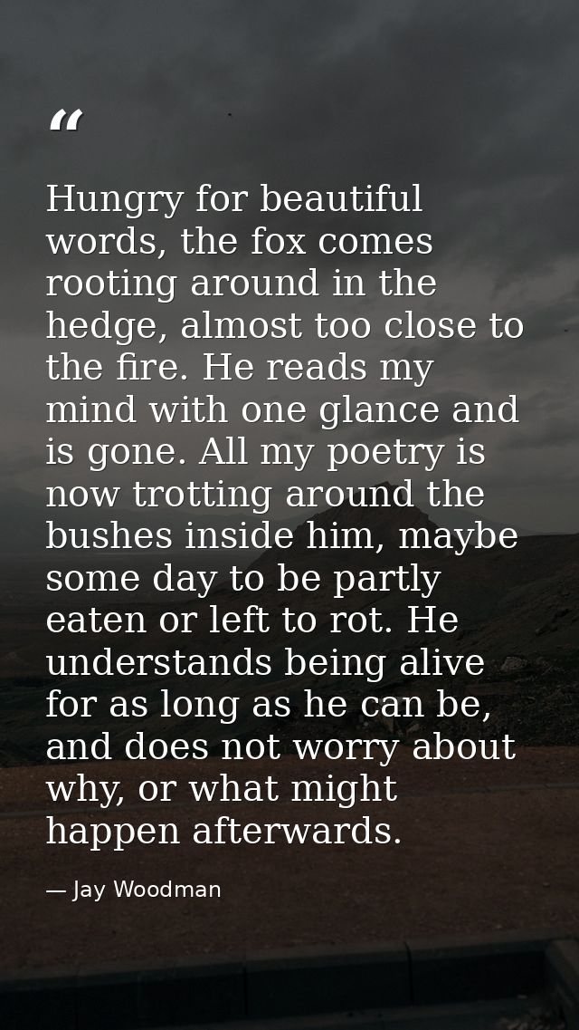 Hungry for beautiful words, the fox comes rooting around in the hedge, almost too close to the fire. He reads my mind wi — Jay Woodman