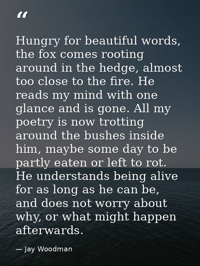 Hungry for beautiful words, the fox comes rooting around in the hedge, almost too close to the fire. He reads my mind wi — Jay Woodman