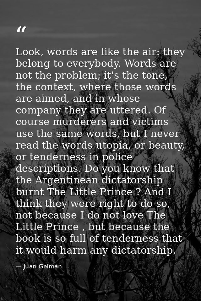 Look, words are like the air: they belong to everybody. Words are not the problem; it's the tone, the context, where tho — Juan Gelman