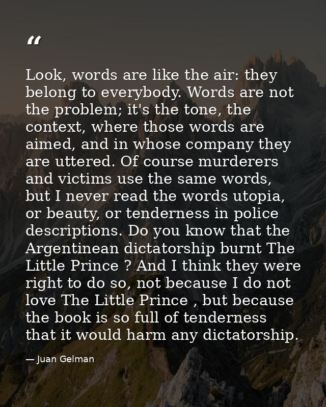 Look, words are like the air: they belong to everybody. Words are not the problem; it's the tone, the context, where tho — Juan Gelman