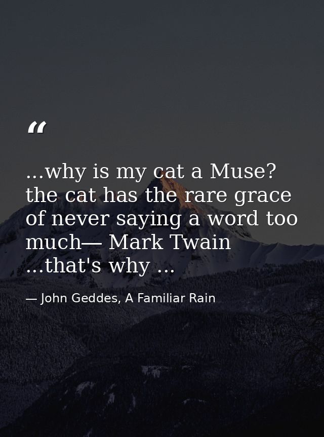 ...why is my cat a Muse? the cat has the rare grace of never saying a word too much― Mark Twain ...that's why ... — John Geddes, A Familiar Rain