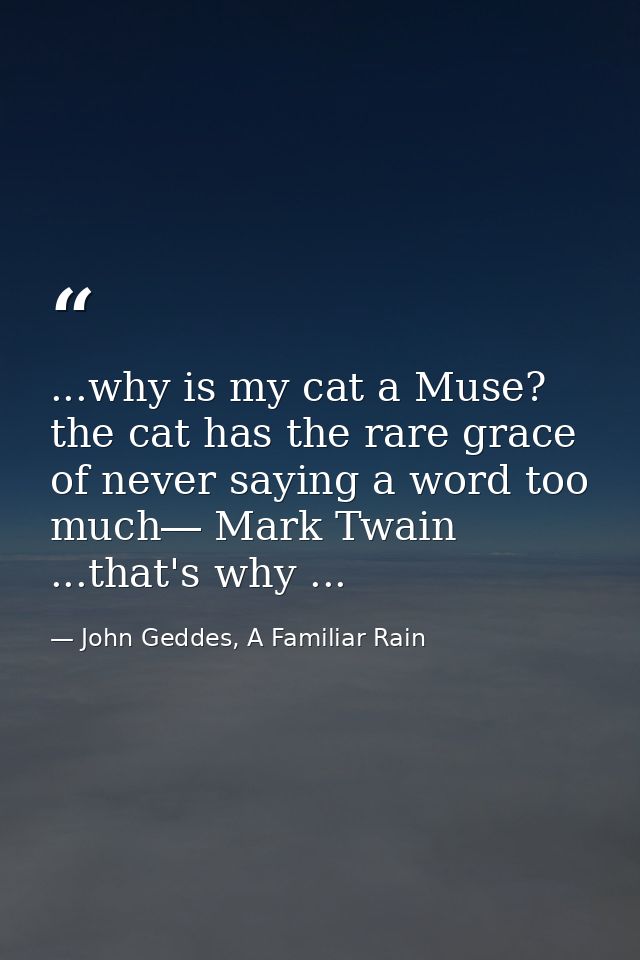 ...why is my cat a Muse? the cat has the rare grace of never saying a word too much― Mark Twain ...that's why ... — John Geddes, A Familiar Rain