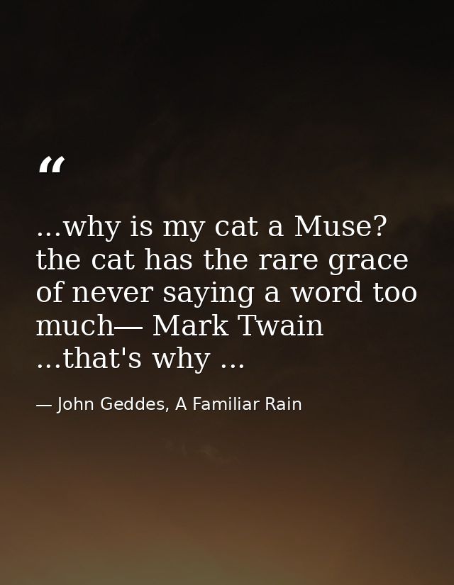...why is my cat a Muse? the cat has the rare grace of never saying a word too much― Mark Twain ...that's why ... — John Geddes, A Familiar Rain