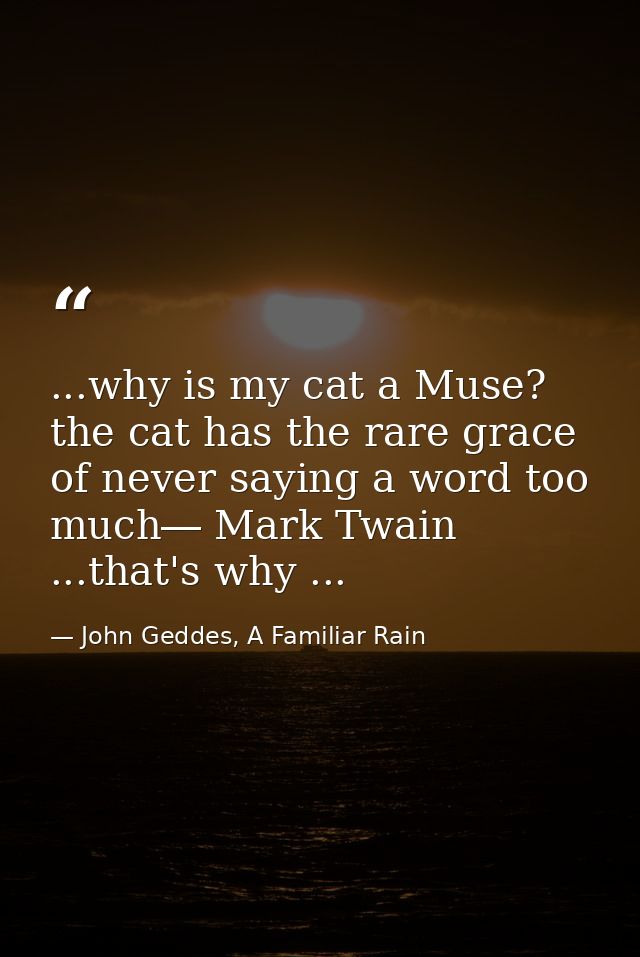 ...why is my cat a Muse? the cat has the rare grace of never saying a word too much― Mark Twain ...that's why ... — John Geddes, A Familiar Rain