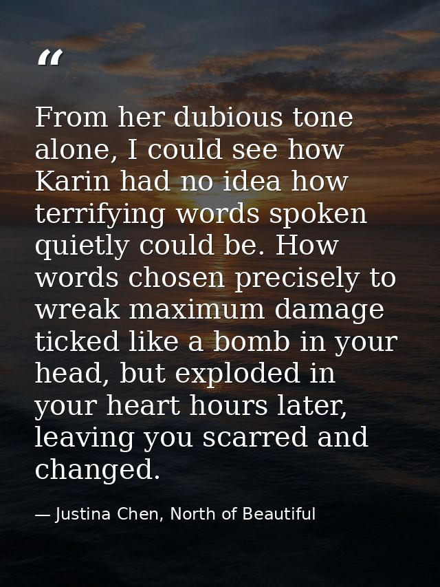 From her dubious tone alone, I could see how Karin had no idea how terrifying words spoken quietly could be. How words c — Justina Chen, North of Beautiful