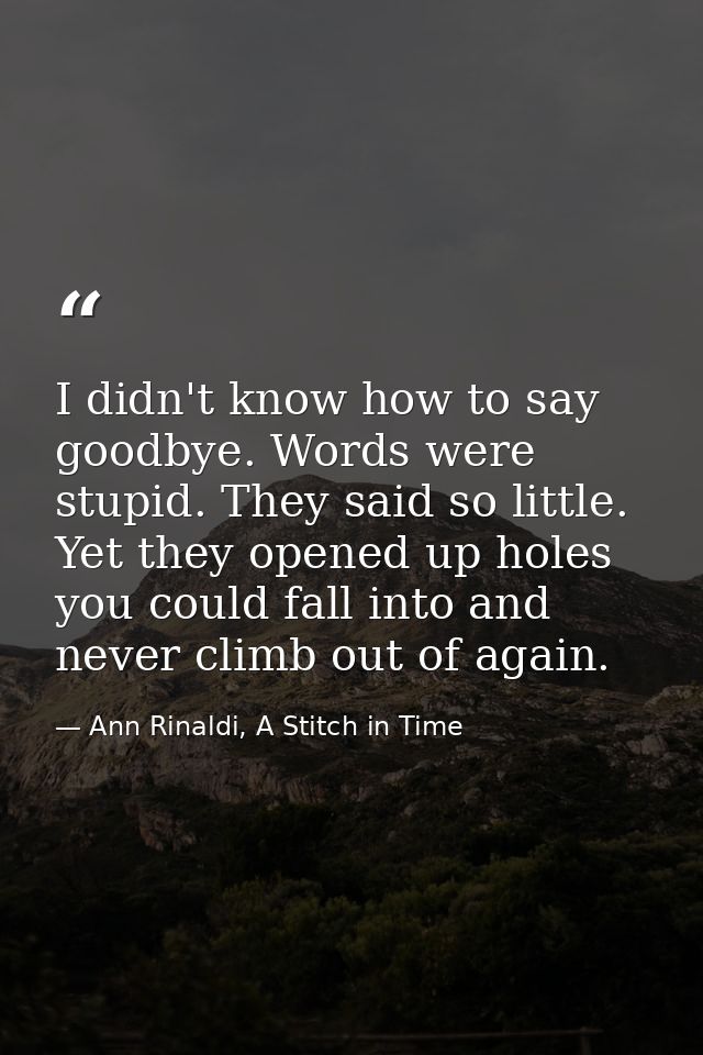 I didn't know how to say goodbye. Words were stupid. They said so little. Yet they opened up holes you could fall into a — Ann Rinaldi, A Stitch in Time