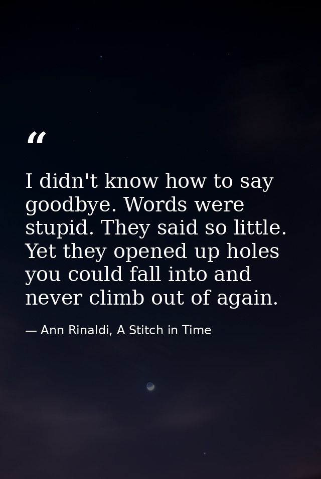 I didn't know how to say goodbye. Words were stupid. They said so little. Yet they opened up holes you could fall into a — Ann Rinaldi, A Stitch in Time
