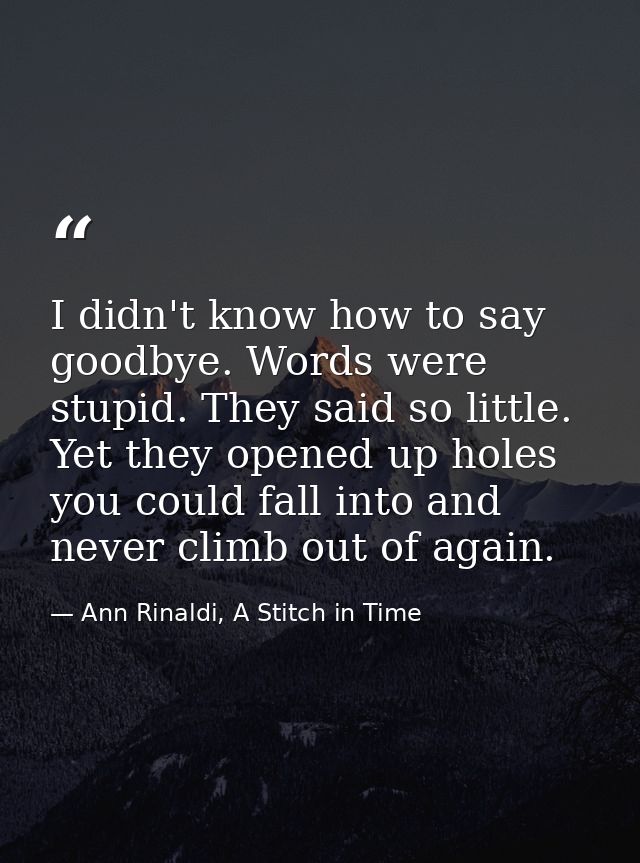 I didn't know how to say goodbye. Words were stupid. They said so little. Yet they opened up holes you could fall into a — Ann Rinaldi, A Stitch in Time