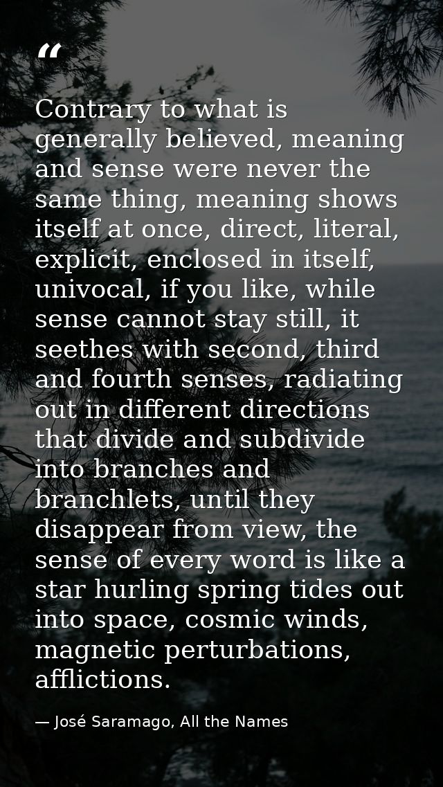 Contrary to what is generally believed, meaning and sense were never the same thing, meaning shows itself at once, direc — José Saramago, All the Names