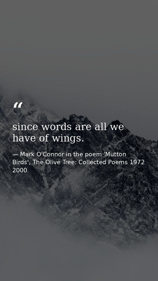since words are all we have of wings. — Mark O'Connor in the poem 'Mutton Birds', The Olive Tree: Collected Poems 1972 2000