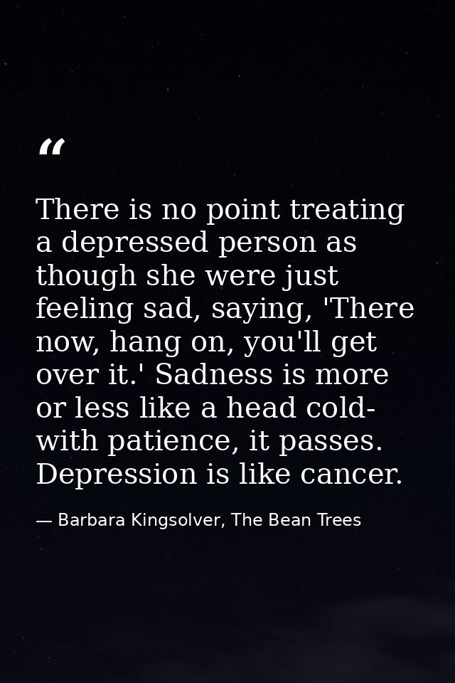 There is no point treating a depressed person as though she were just feeling sad, saying, 'There now, hang on, you'll g — Barbara Kingsolver, The Bean Trees