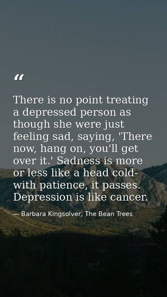 There is no point treating a depressed person as though she were just feeling sad, saying, 'There now, hang on, you'll g — Barbara Kingsolver, The Bean Trees
