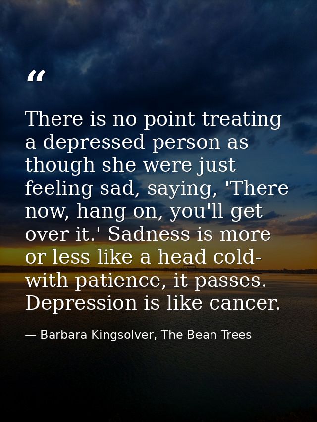 There is no point treating a depressed person as though she were just feeling sad, saying, 'There now, hang on, you'll g — Barbara Kingsolver, The Bean Trees