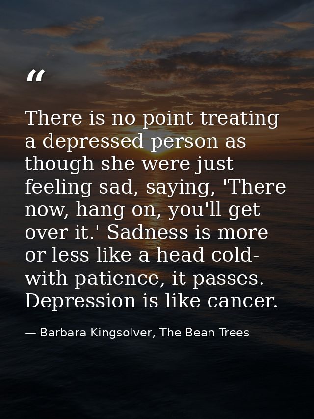 There is no point treating a depressed person as though she were just feeling sad, saying, 'There now, hang on, you'll g — Barbara Kingsolver, The Bean Trees
