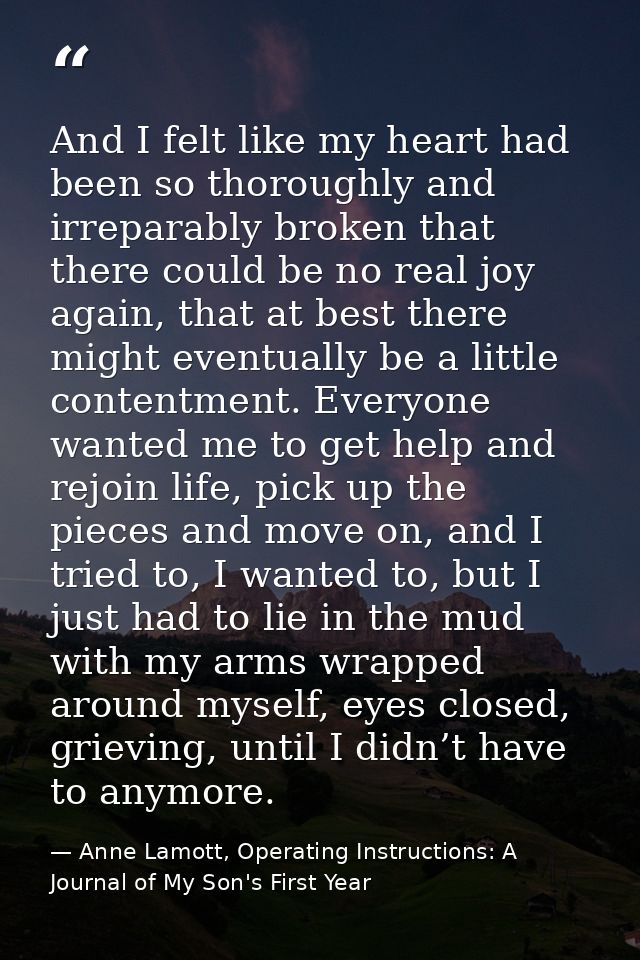 And I felt like my heart had been so thoroughly and irreparably broken that there could be no real joy again, that at be — Anne Lamott, Operating Instructions: A Journal of My Son's First Year
