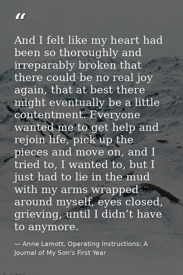 And I felt like my heart had been so thoroughly and irreparably broken that there could be no real joy again, that at be — Anne Lamott, Operating Instructions: A Journal of My Son's First Year