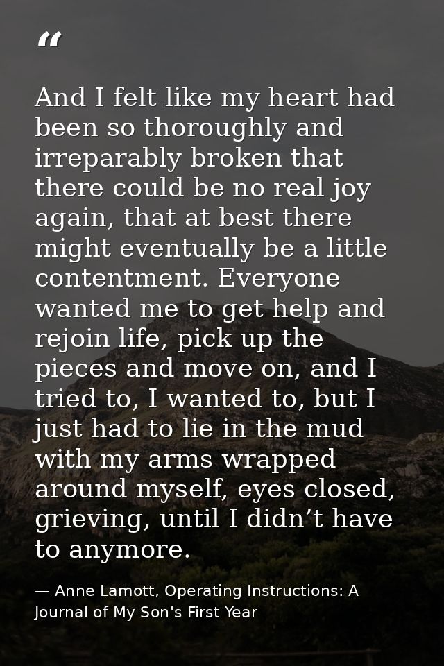 And I felt like my heart had been so thoroughly and irreparably broken that there could be no real joy again, that at be — Anne Lamott, Operating Instructions: A Journal of My Son's First Year