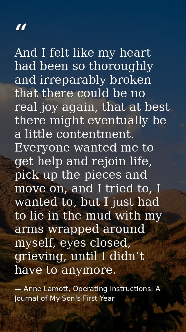 And I felt like my heart had been so thoroughly and irreparably broken that there could be no real joy again, that at be — Anne Lamott, Operating Instructions: A Journal of My Son's First Year