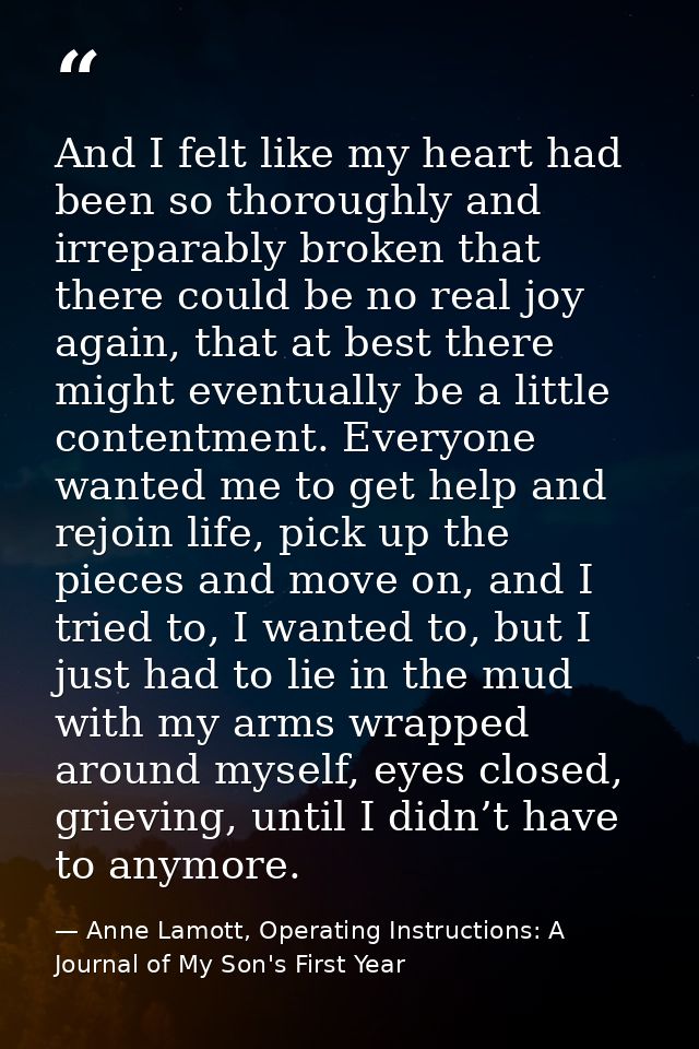 And I felt like my heart had been so thoroughly and irreparably broken that there could be no real joy again, that at be — Anne Lamott, Operating Instructions: A Journal of My Son's First Year