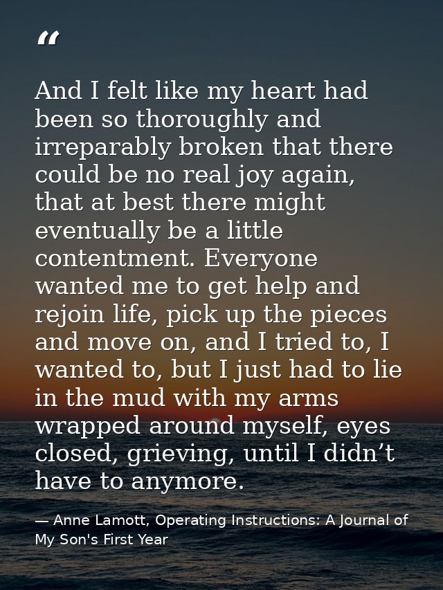 And I felt like my heart had been so thoroughly and irreparably broken that there could be no real joy again, that at be — Anne Lamott, Operating Instructions: A Journal of My Son's First Year