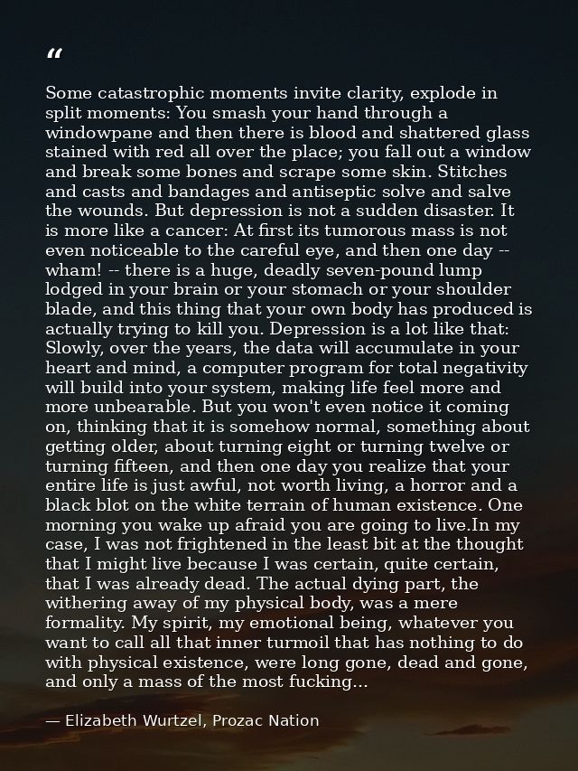 Some catastrophic moments invite clarity, explode in split moments: You smash your hand through a windowpane and then th — Elizabeth Wurtzel, Prozac Nation