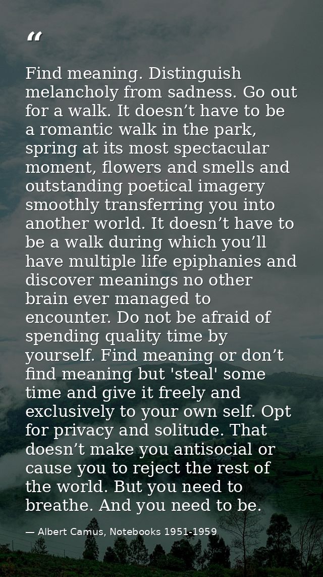 Find meaning. Distinguish melancholy from sadness. Go out for a walk. It doesn’t have to be a romantic walk in the park, — Albert Camus, Notebooks 1951-1959