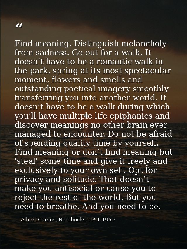 Find meaning. Distinguish melancholy from sadness. Go out for a walk. It doesn’t have to be a romantic walk in the park, — Albert Camus, Notebooks 1951-1959