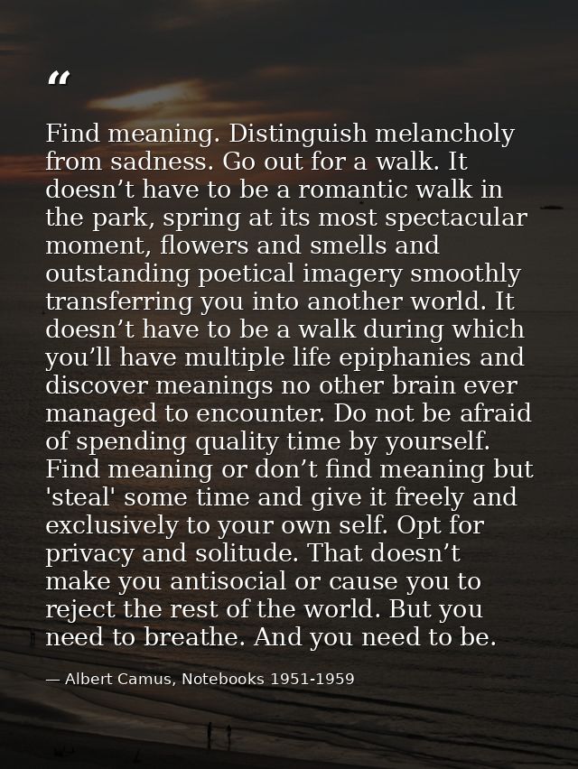 Find meaning. Distinguish melancholy from sadness. Go out for a walk. It doesn’t have to be a romantic walk in the park, — Albert Camus, Notebooks 1951-1959