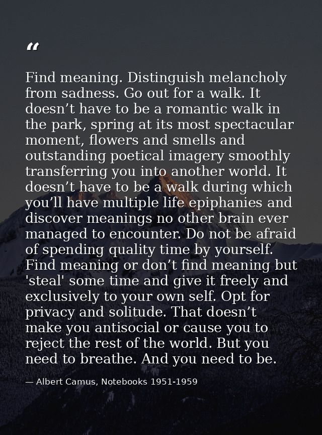 Find meaning. Distinguish melancholy from sadness. Go out for a walk. It doesn’t have to be a romantic walk in the park, — Albert Camus, Notebooks 1951-1959