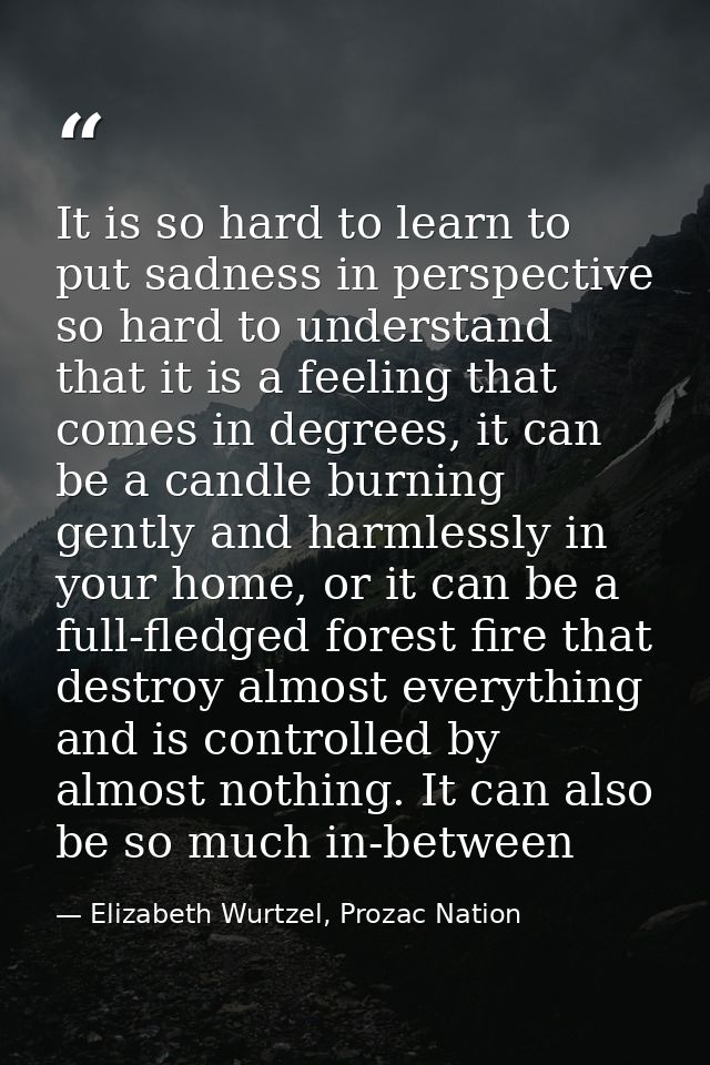 It is so hard to learn to put sadness in perspective so hard to understand that it is a feeling that comes in degrees, i — Elizabeth Wurtzel, Prozac Nation