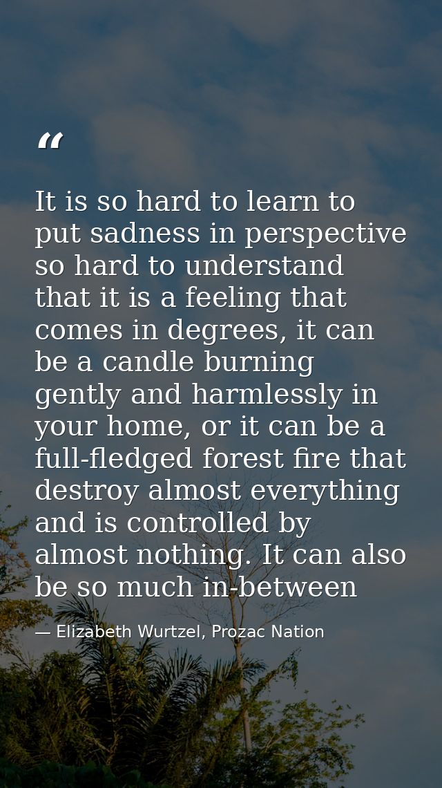 It is so hard to learn to put sadness in perspective so hard to understand that it is a feeling that comes in degrees, i — Elizabeth Wurtzel, Prozac Nation