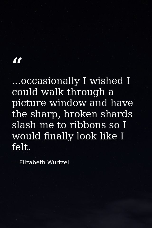 ...occasionally I wished I could walk through a picture window and have the sharp, broken shards slash me to ribbons so  — Elizabeth Wurtzel