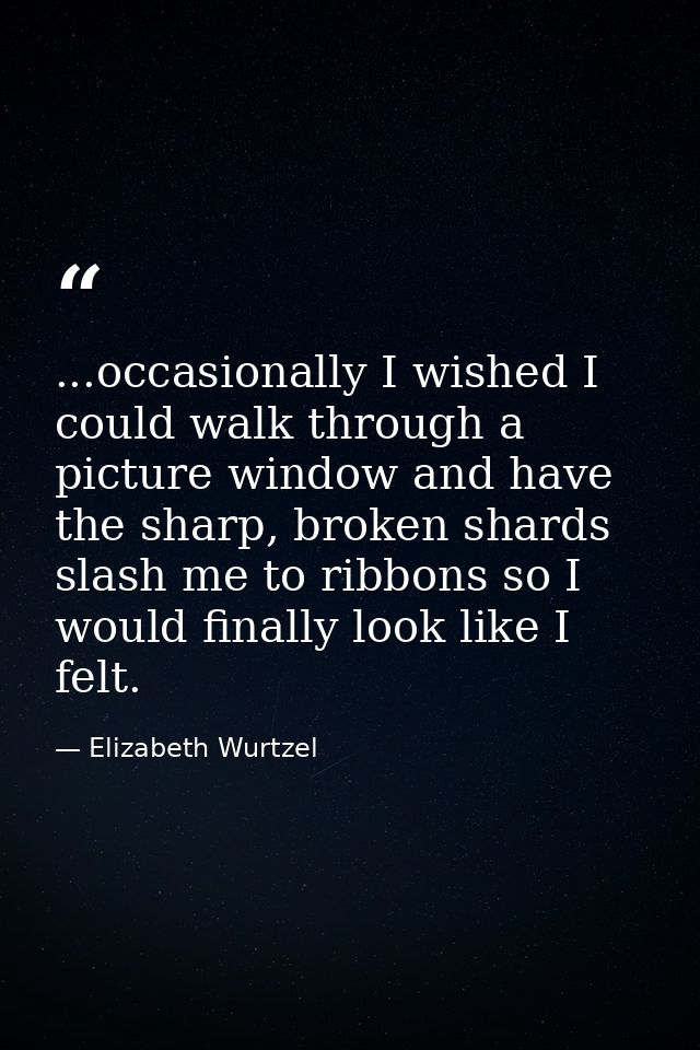 ...occasionally I wished I could walk through a picture window and have the sharp, broken shards slash me to ribbons so  — Elizabeth Wurtzel