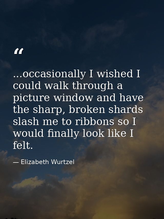 ...occasionally I wished I could walk through a picture window and have the sharp, broken shards slash me to ribbons so  — Elizabeth Wurtzel